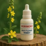 Agrimony