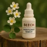 Beech