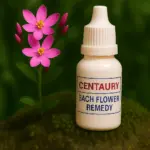 Centaury