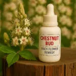 Chestnut Bud