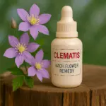Clematis