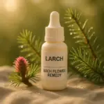 Larch