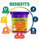 Skin Care Kit - Image 2