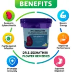Spleen Kit - Image 2