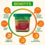 Stomach Kit - Image 2