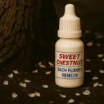 Sweet Chestnut