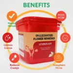 Uterus Kit - Image 2