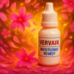 Vervain