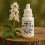 White Chestnut