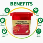 Brain Kit - Image 2